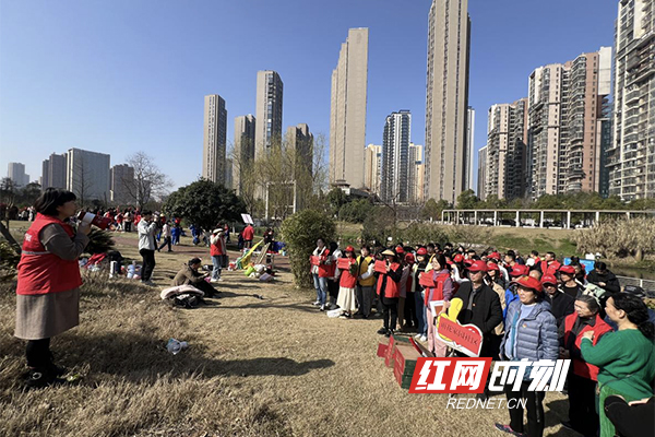 雨花家园社区：党建引领聚合力，携手植树添新绿